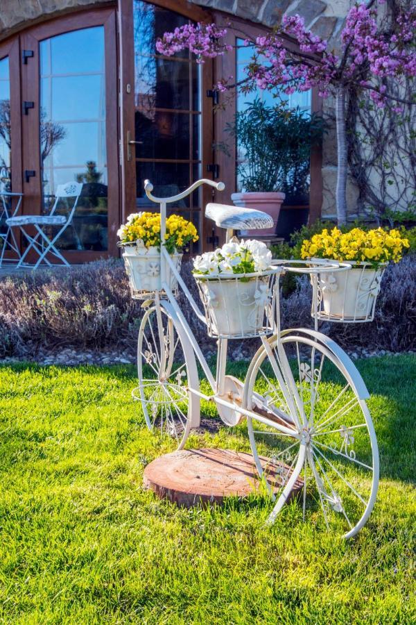 Feniks Agro&Spa Adults Only Svinoústí Exteriér fotografie